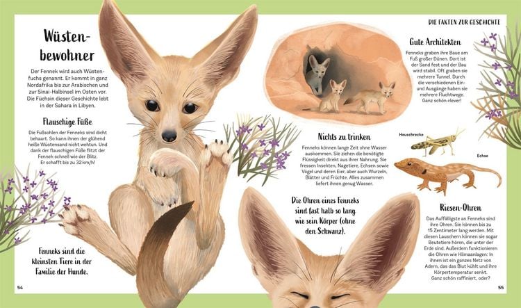 Produktbild: Tiergeschichten zum Tr&auml;umen. Zauber der Nacht