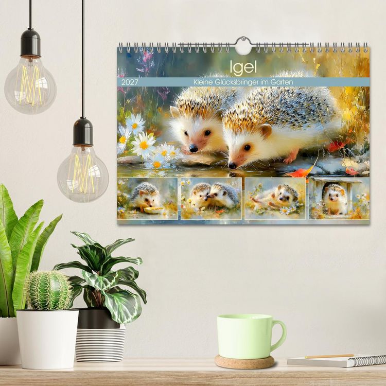 Produktbild: Igel. Kleine Gl&uuml;cksbringer im Garten (Wandkalender 2027 DIN A4 quer), CALVENDO Monatskalender