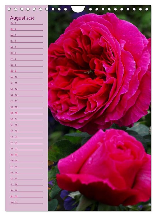 Produktbild: Rosen Symphonie (Wandkalender 2026 DIN A4 hoch), CALVENDO Monatskalender