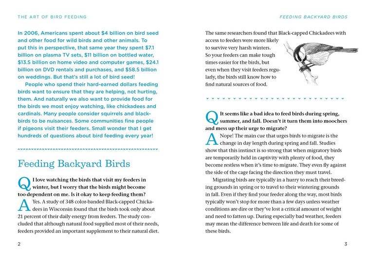 Produktbild: The Bird Watching Answer Book