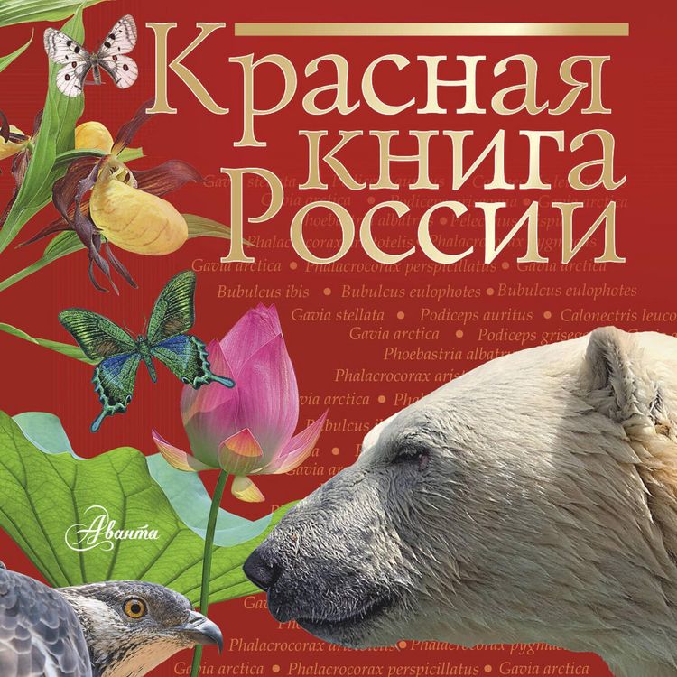 Produktbild: Krasnaya kniga Rossii