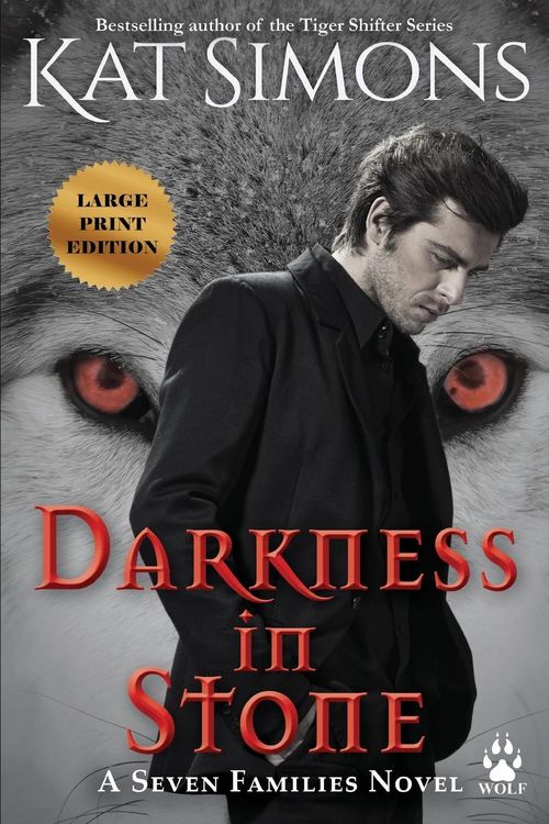Produktbild: Darkness in Stone