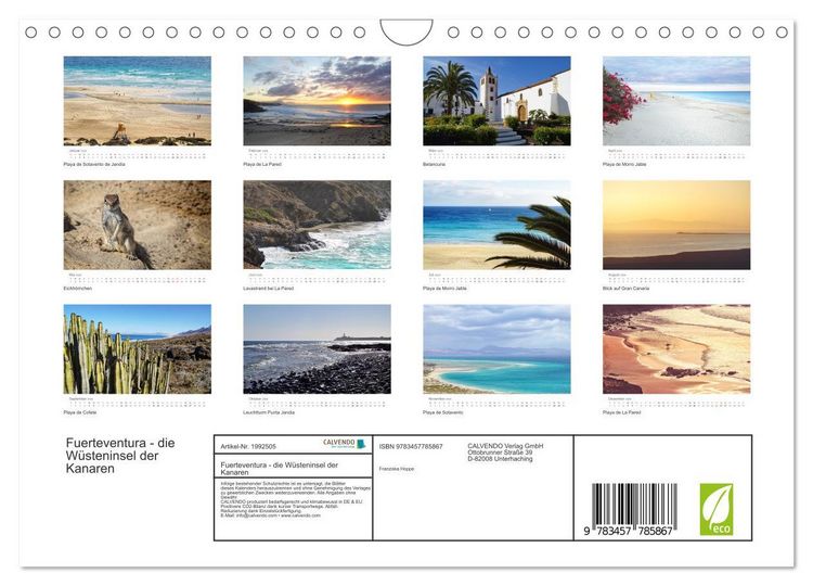 Produktbild: Fuerteventura - die W&uuml;steninsel der Kanaren (Wandkalender 2026 DIN A4 quer), CALVENDO Monatskalender