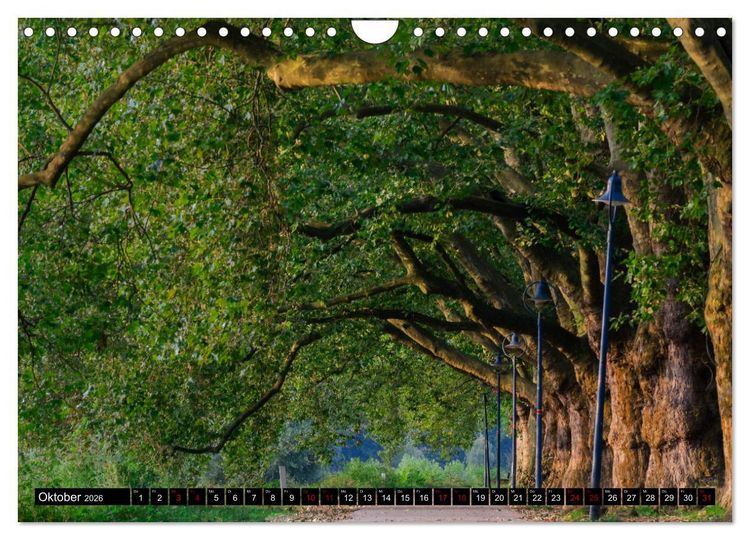 Produktbild: Ludwigshafen - Lebenswerte Stadt am Rhein (Wandkalender 2026 DIN A4 quer), CALVENDO Monatskalender