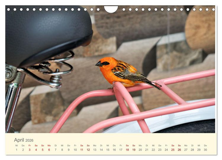 Produktbild: Traumhafte Seychellen (Wandkalender 2026 DIN A4 quer), CALVENDO Monatskalender