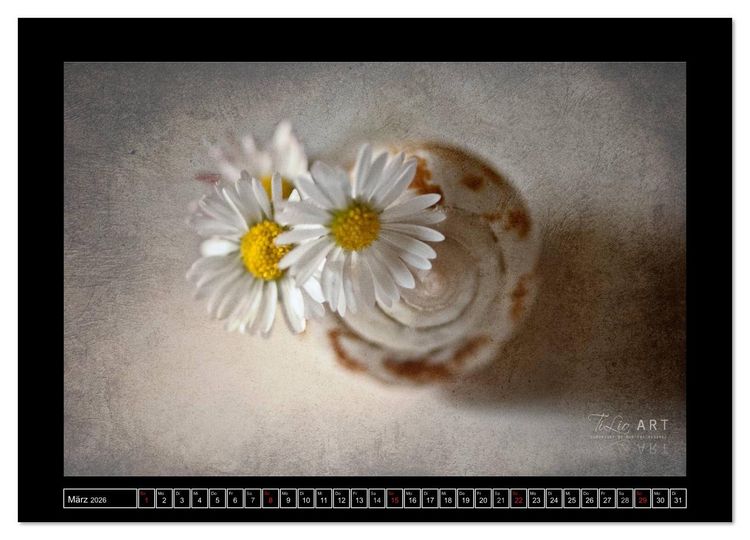 Produktbild: Stillleben (Wandkalender 2026 DIN A3 quer), CALVENDO Monatskalender