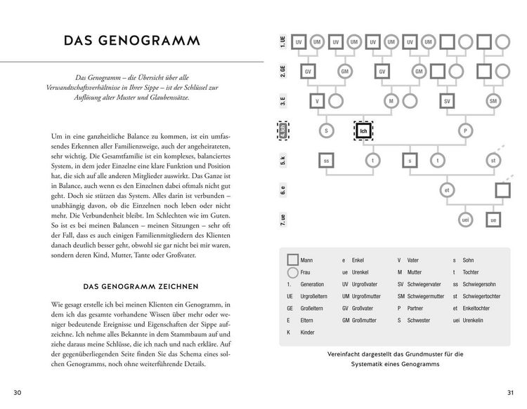 Produktbild: Die verborgenen Kr&auml;fte unserer Ahnen