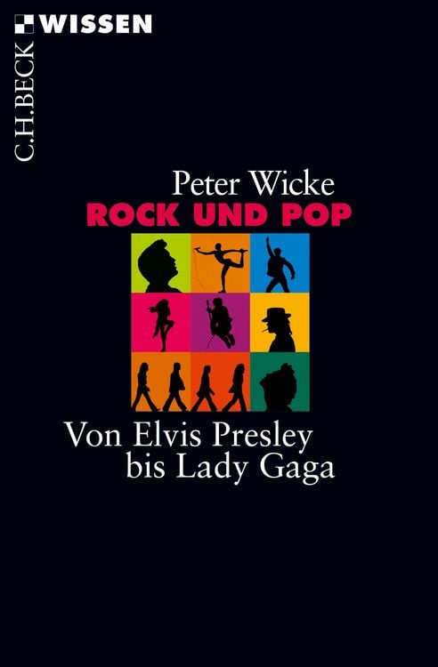 Bild vom Artikel Rock und Pop vom Autor Peter Wicke