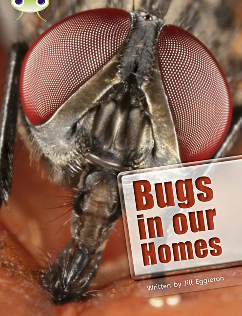 Produktbild: Bug Club Independent Non Fiction Year Two Lime A Bugs in our Homes