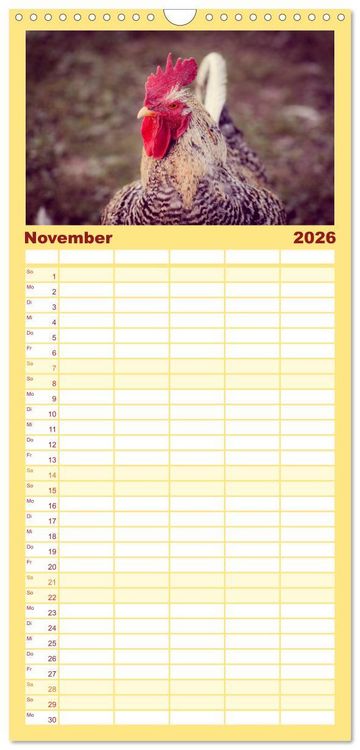 Produktbild: Familienplaner 2026 - H&uuml;hner in meinem Garten mit 5 Spalten (Wandkalender, 21 x 45 cm) CALVENDO