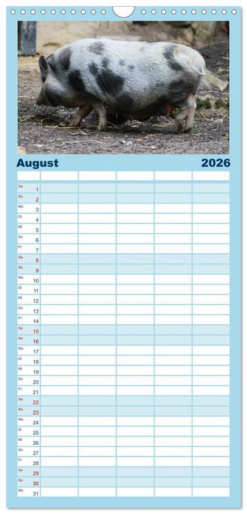 Produktbild: Familienplaner 2026 - Tierische Schweinerei mit 5 Spalten (Wandkalender, 21 x 45 cm) CALVENDO