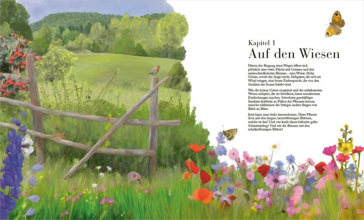 Produktbild: Der gro&szlig;e Naturf&uuml;hrer. Pflanzen, Tiere, Wolken und Sternbilder bestimmen. Nach Lebensr&auml;umen gegliedert