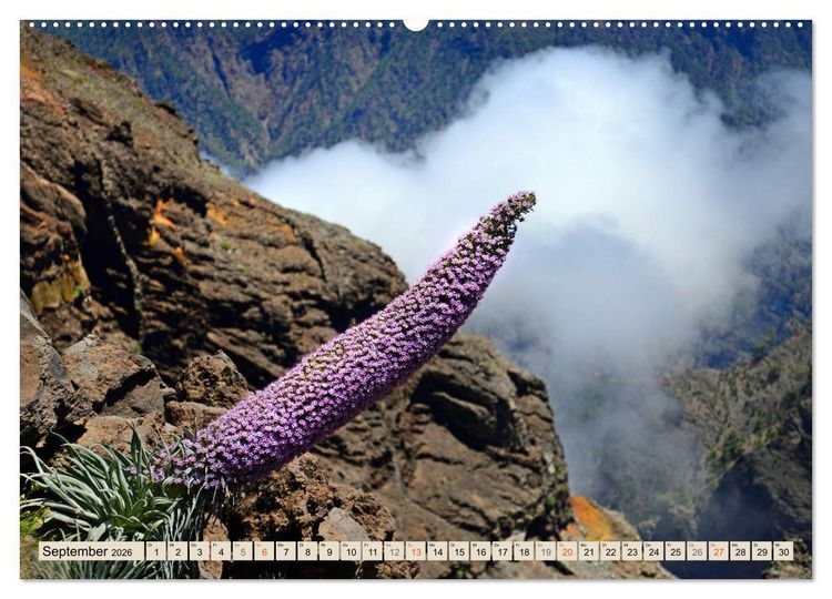 Produktbild: Magic Moments - LA PALMA (hochwertiger Premium Wandkalender 2026 DIN A2 quer), Kunstdruck in Hochglanz