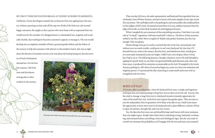 Produktbild: Grow a Little Fruit Tree