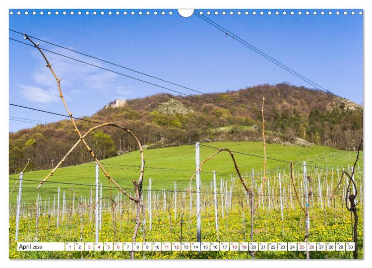 Produktbild: Weinberge um Jena (Wandkalender 2026 DIN A3 quer), CALVENDO Monatskalender