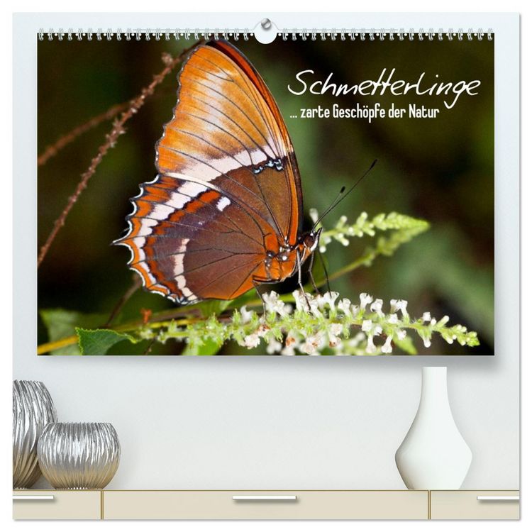 Produktbild: Schmetterlinge - zarte Gesch&ouml;pfe der Natur (hochwertiger Premium Wandkalender 2026 DIN A2 quer), Kunstdruck in Hochglanz