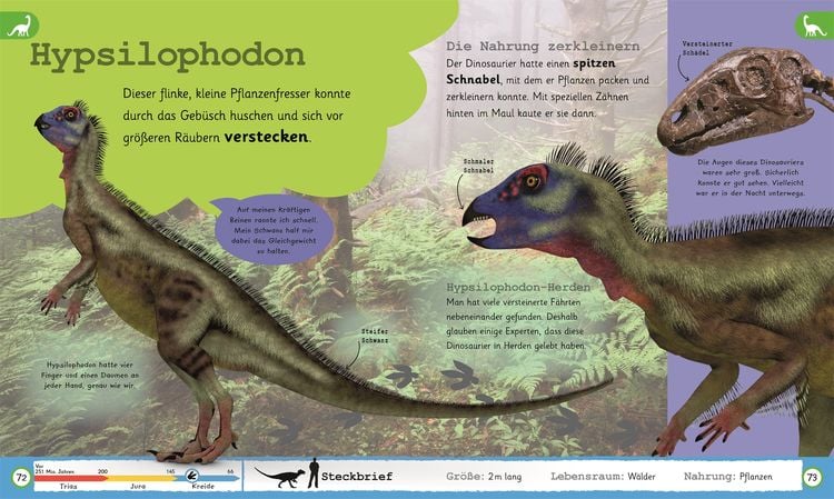 Wissen für Vorschulkids. Was weißt du über Dinos?