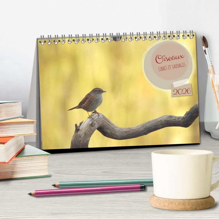 Produktbild: Oiseaux libres et sauvages (Calendrier de bureau 2026 DIN A5 vertical), CALVENDO calendrier mensuel