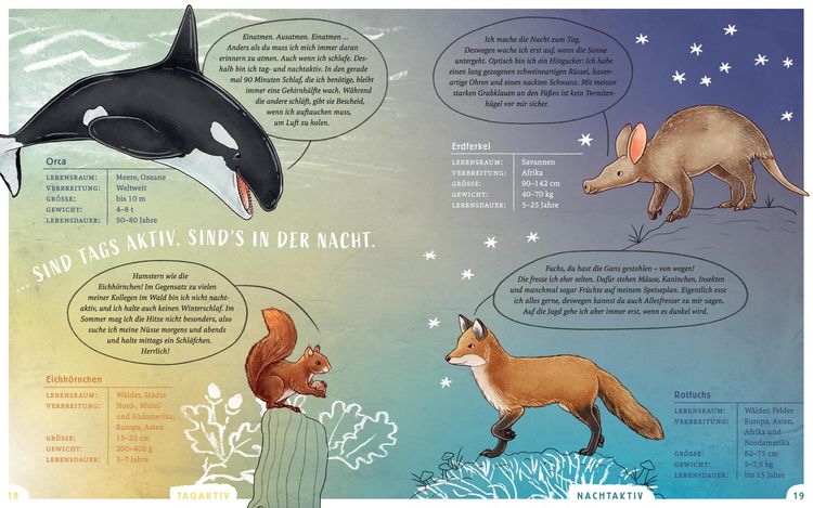 Produktbild: Wir sind die Tiere dieser Welt - Das gro&szlig;e Tier-Lexikon der Gemeinsamkeiten und Unterschiede
