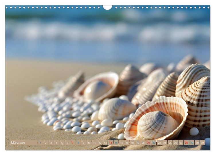 Produktbild: Faszination Muscheln (Wandkalender 2026 DIN A3 quer), CALVENDO Monatskalender