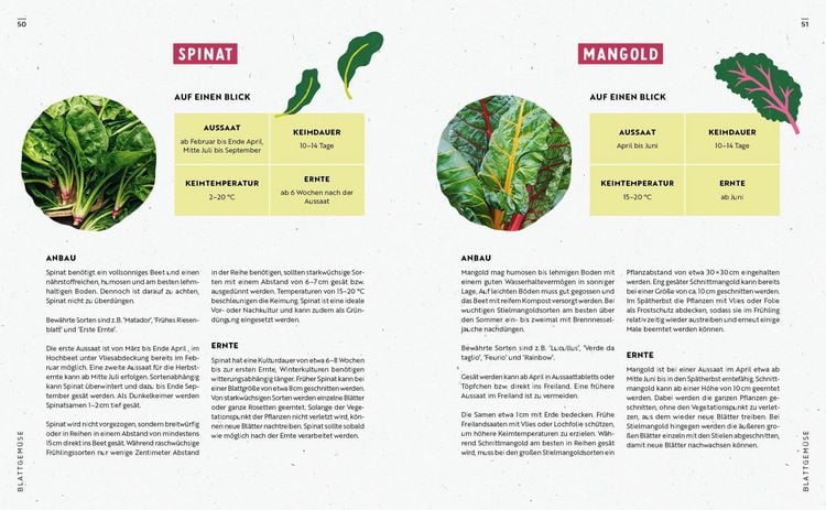 Produktbild: Gartenmomente: Gem&uuml;se