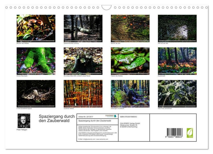 Produktbild: Spaziergang durch den Zauberwald (Wandkalender 2026 DIN A3 quer), CALVENDO Monatskalender