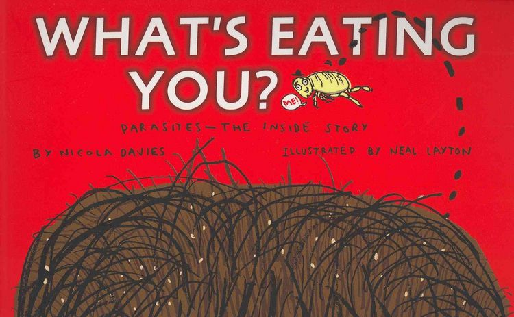 Produktbild: What's Eating You?