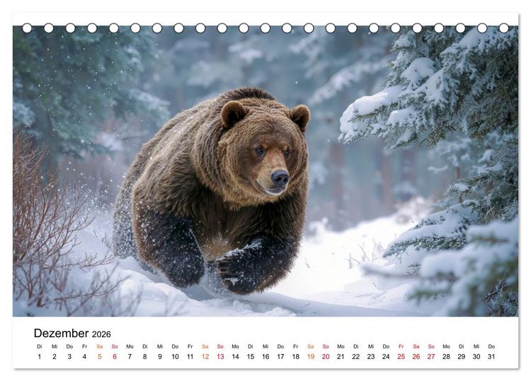 Produktbild: B&auml;ren - Die Macht der Natur (Tischkalender 2026 DIN A5 quer), CALVENDO Monatskalender