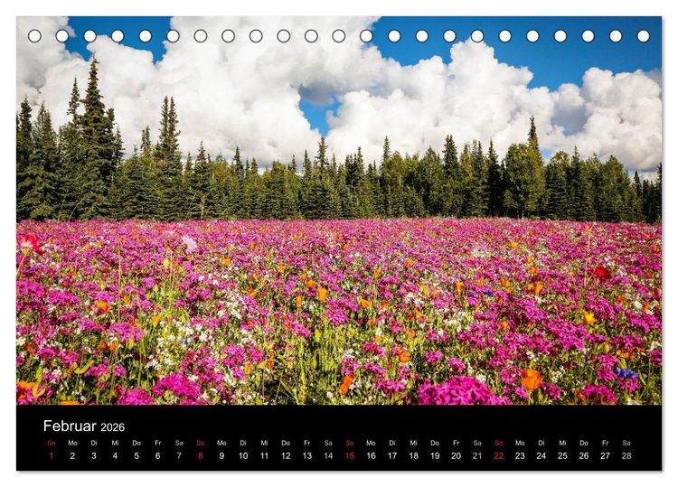 Produktbild: Alaska 2026 Wildes Land am Ende der Welt (Tischkalender 2026 DIN A5 quer), CALVENDO Monatskalender