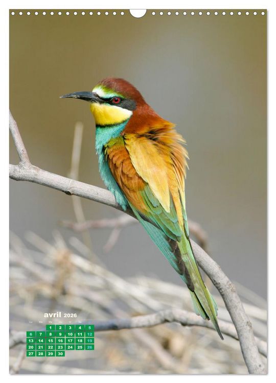 Produktbild: Lesbos l'&icirc;le aux oiseaux (Calendrier mural 2026 DIN A3 horizontal), CALVENDO calendrier mensuel