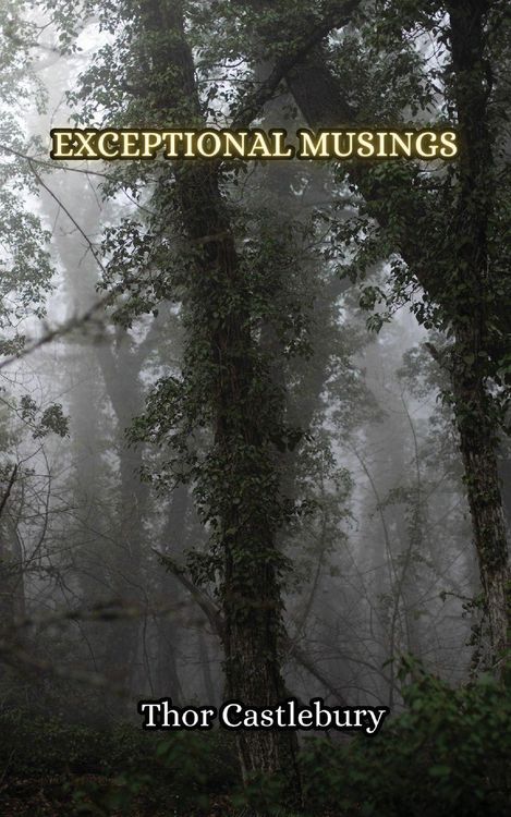 Produktbild: Exceptional Musings