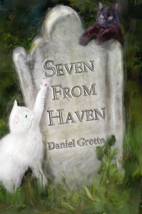 Produktbild: Seven from Haven