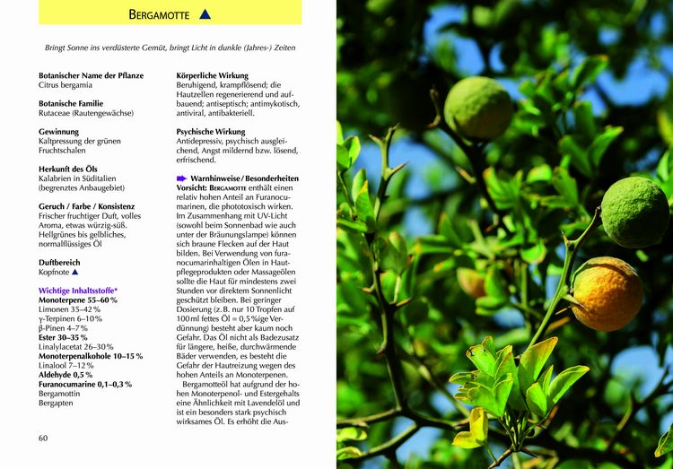 Produktbild: Handbuch &Auml;therische &Ouml;le