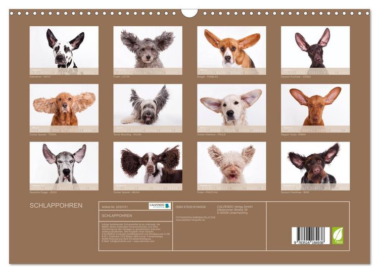 Produktbild: SCHLAPPOHREN (Wandkalender 2026 DIN A3 quer), CALVENDO Monatskalender