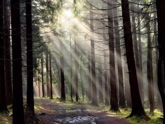 Produktbild: CALVENDO Puzzle Nach dem Regen, Erzgebirge | 1000 Teile Lege-Gr&ouml;&szlig;e 64x48cm Foto-Puzzle f&uuml;r gl&uuml;ckliche Stunden