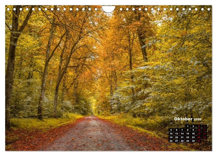 Produktbild: Rund um den Sch&ouml;nbuch (Wandkalender 2026 DIN A4 quer), CALVENDO Monatskalender