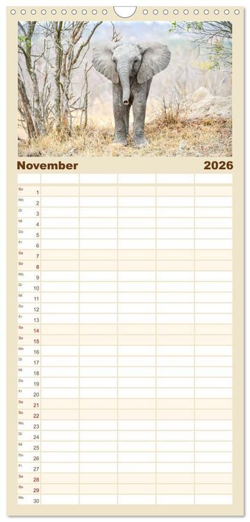 Produktbild: Familienplaner 2026 - Babyelefanten mit 5 Spalten (Wandkalender, 21 x 45 cm) CALVENDO