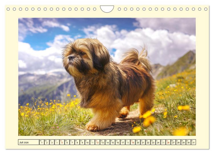Produktbild: Lhasa Apso Charme. Die kleinen H&uuml;ter des Gl&uuml;cks (Wandkalender 2026 DIN A4 quer), CALVENDO Monatskalender