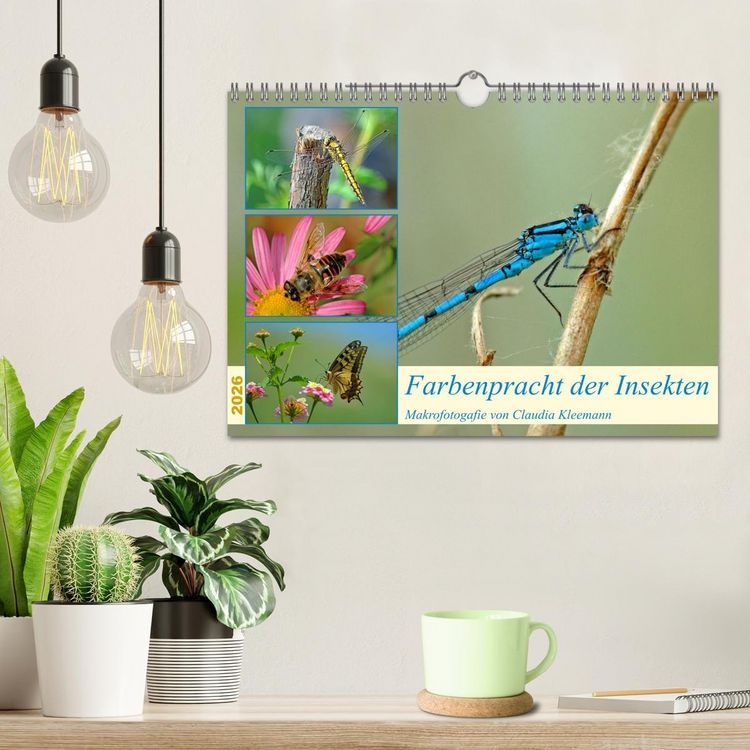 Produktbild: Farbenpracht der Insekten (Wandkalender 2026 DIN A4 quer), CALVENDO Monatskalender