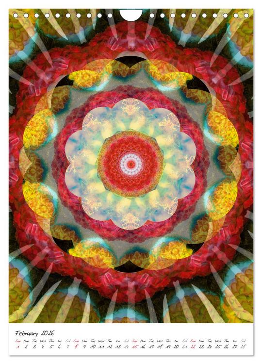 Produktbild: MANDALA COMPOSITIONS (Wall Calendar 2026 DIN A4 portrait), CALVENDO 12 Month Wall Calendar
