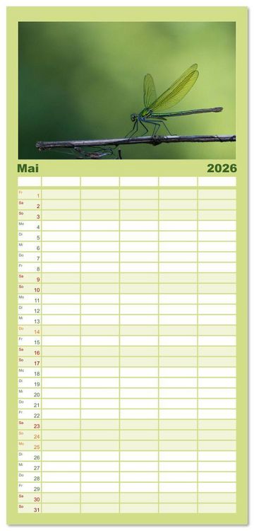 Produktbild: Familienplaner 2026 - Naturwunder Libellen mit 5 Spalten (Wandkalender, 21 x 45 cm) CALVENDO