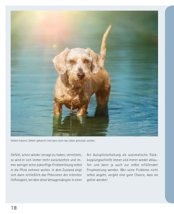 Produktbild: Mein Hund hat Angst
