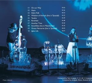 Produktbild: Ice Quartet