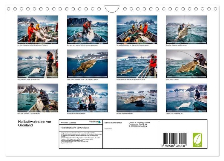 Produktbild: Heilbuttwahnsinn vor Gr&ouml;nland (Wandkalender 2027 DIN A4 quer), CALVENDO Monatskalender