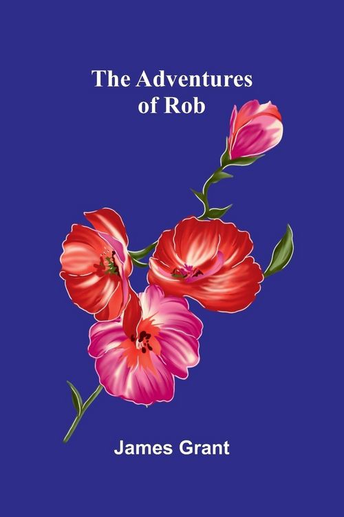 Produktbild: The adventures of Rob