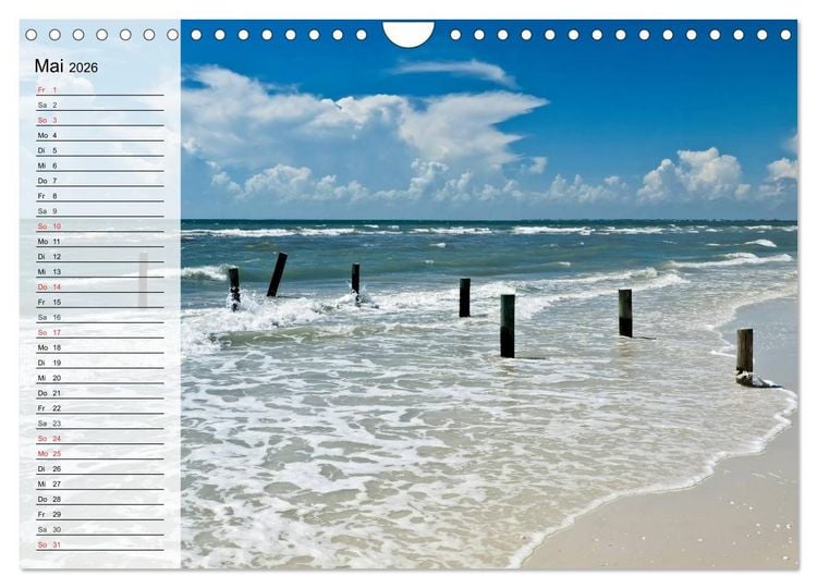 Produktbild: FLORIDA Idyllischer Sonnenscheinstaat (Wandkalender 2026 DIN A4 quer), CALVENDO Monatskalender
