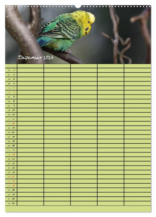 Produktbild: Der Wellensittich-Familienplaner (hochwertiger Premium Wandkalender 2026 DIN A2 hoch), Kunstdruck in Hochglanz