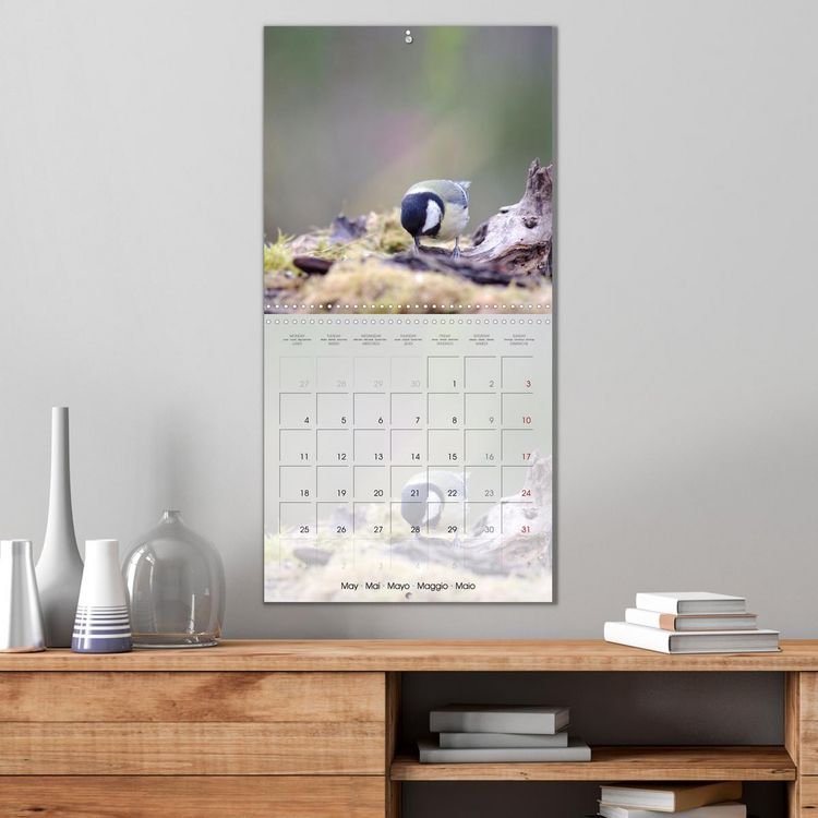 Produktbild: Le jardin des m&eacute;sanges (Calendrier mural carr&eacute; 2026 30x30 cm) Calendrier double avec une page pour vos prises de notes