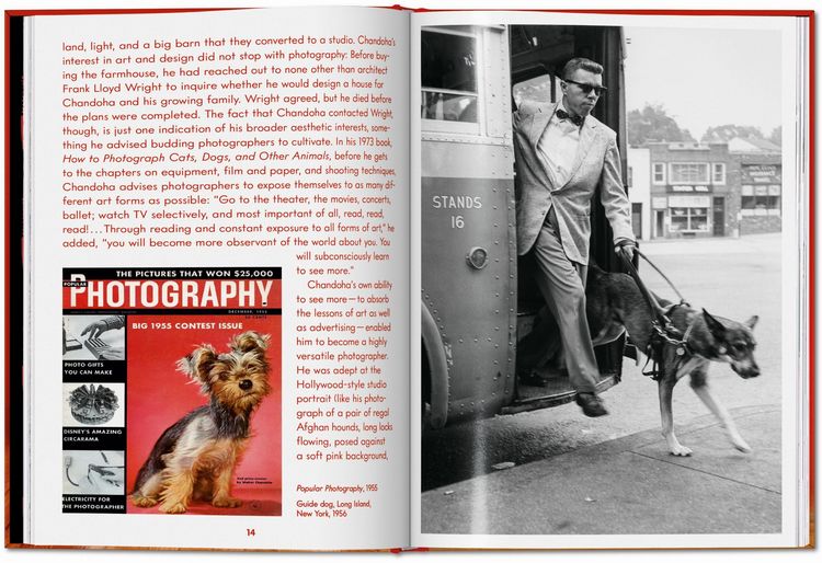 Produktbild: Walter Chandoha. Dogs. Photographs 1941&ndash;1991