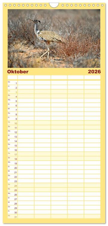 Produktbild: Familienplaner 2026 - Kgalagadi - Fauna und Wildtiere in der Kalahari mit 5 Spalten (Wandkalender, 21 x 45 cm) CALVENDO